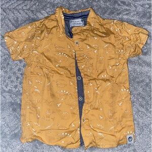 Toddler boy button down dinosaur shirt